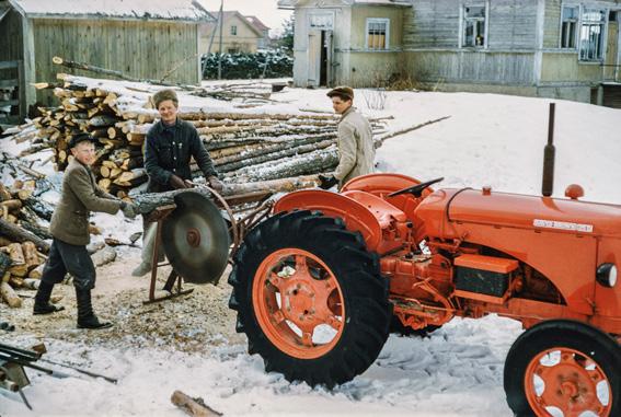 Kalle Rautanen / Kalle Rautasen kokoelma, Lusto Polttopuunteossa 1956. latvus metsään liittyvää elävää perintöä itää, juurtuu, kasvaa ja uudistuu kaiken aikaa.