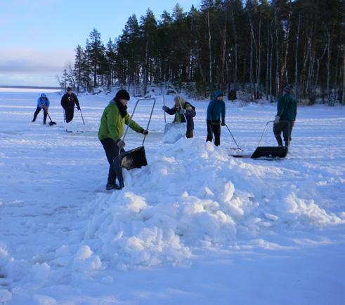 Saimaannorpan tekopesiä kolataan