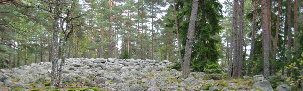 2. VUOSAAREN ETELÄOSAN ALUESUUNNITELMAN LUONTOALUEET Vuosaaren eteläosan aluesuunnitelan suunnittelualue on sekä luonnonaroiltaan että aisea-aroiltaan erittäin onipuolinen ja aihtelea.