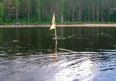 Vertailujärvien kuormitustilanne, morfologiset ominaisuudet sekä veden laatu on esitetty julkaisussa Vallinkoski ym. (2004). Kuva 3. Runsashumuksisen Harkkojärven karua kivikko- ja hiekkarantaa.