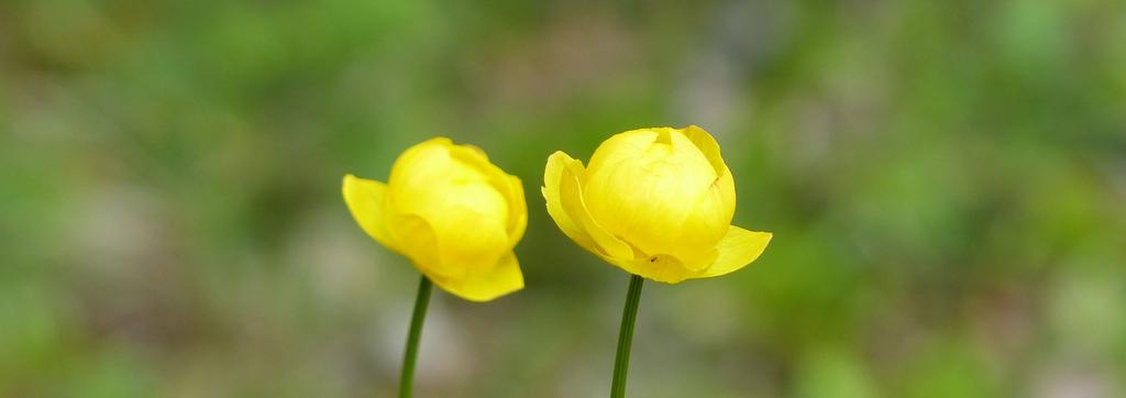 2.10.1 TOIMINTA- JA KÄYTTÖMENOT JA NIIDEN KEHITYS Toimintamenot sisältävät käyttömenot, poistot ja rahoituskulut. Käyttömenot sisältävät muuttuvat ja kiinteät kulut.