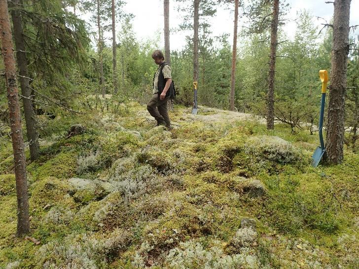 9 Yleiskaava-alueen kaakkoisosasta, Palokallionmäen pohjoispuoliselta mäeltä havaittiin noin 4 x 7 metrin kokoinen (korkeus noin 50 cm) sammalpeitteinen kiviröykkiö.