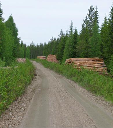 4.4.1 Varastopaikan suunnittelu Varastopaikkoja suunniteltaessa huomioidaan ensisijaisesti puutavaran kaukokuljetuksen ja puunkäsittelyn vaatimukset.