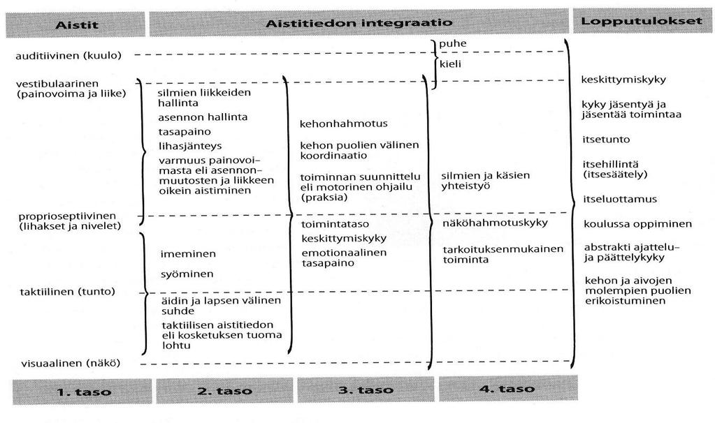 4 raavan tason taidoissa. Esimerkiksi lapsen on sijoitettava katseensa puhujaan, ennen kuin hän voi alkaa ymmärtämään sanoja. (Ayres 2008, 41, 105.) KUVIO 1.