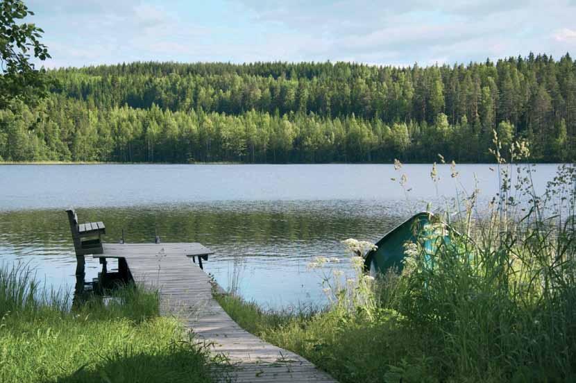 Jätevesitermistö Vähäinen vesimäärä Muut kuin vesikäymälän jätevedet voidaan johtaa puhdistamatta maahan, jos niiden määrä on vähäinen eikä niistä aihdeudu ympäristön pilaantumisen vaaraa, (YSL 55 ).