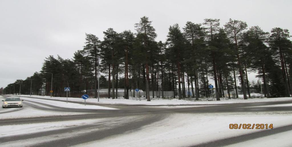 Kuva 1. Suojametsä Valion meijeri Oulu. Metsien käyttöä ja kasvatusta ohjaa lainsäädäntö.