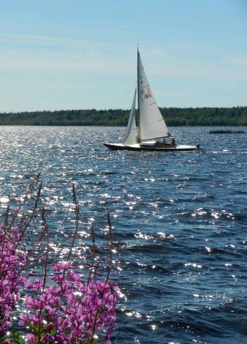 Lapland also has a sea shore