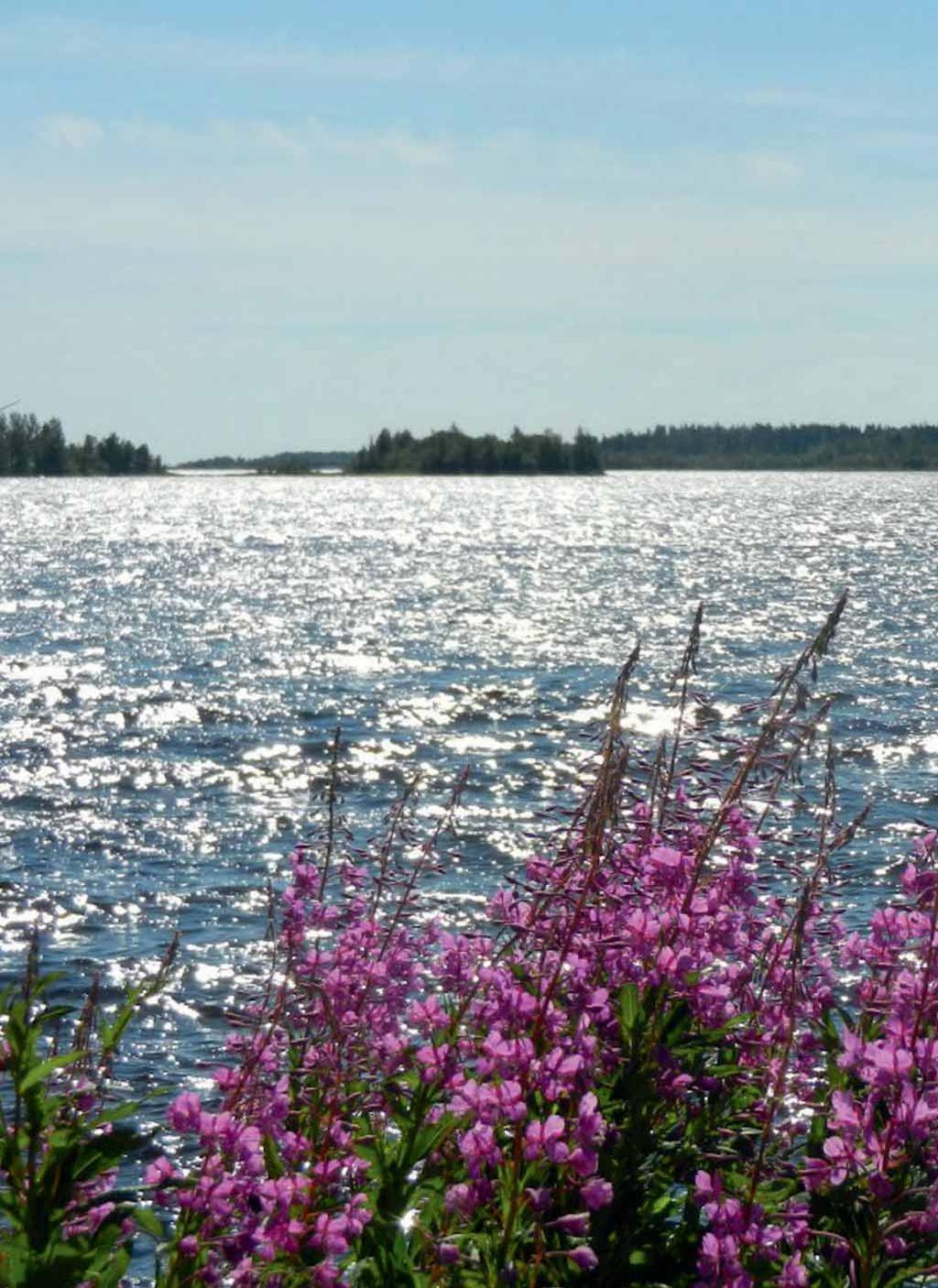 Located in the northern part of the Bothnian Bay, which belongs to the Baltic Sea, the town of Kemi is one of Lapland s three beautiful small towns.