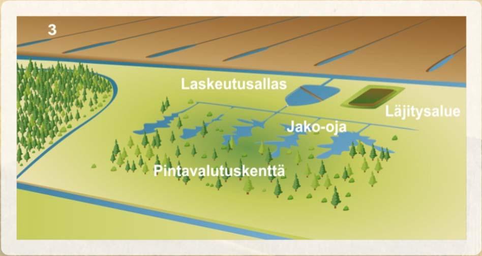 puhdistetaan vettä alan parhailla