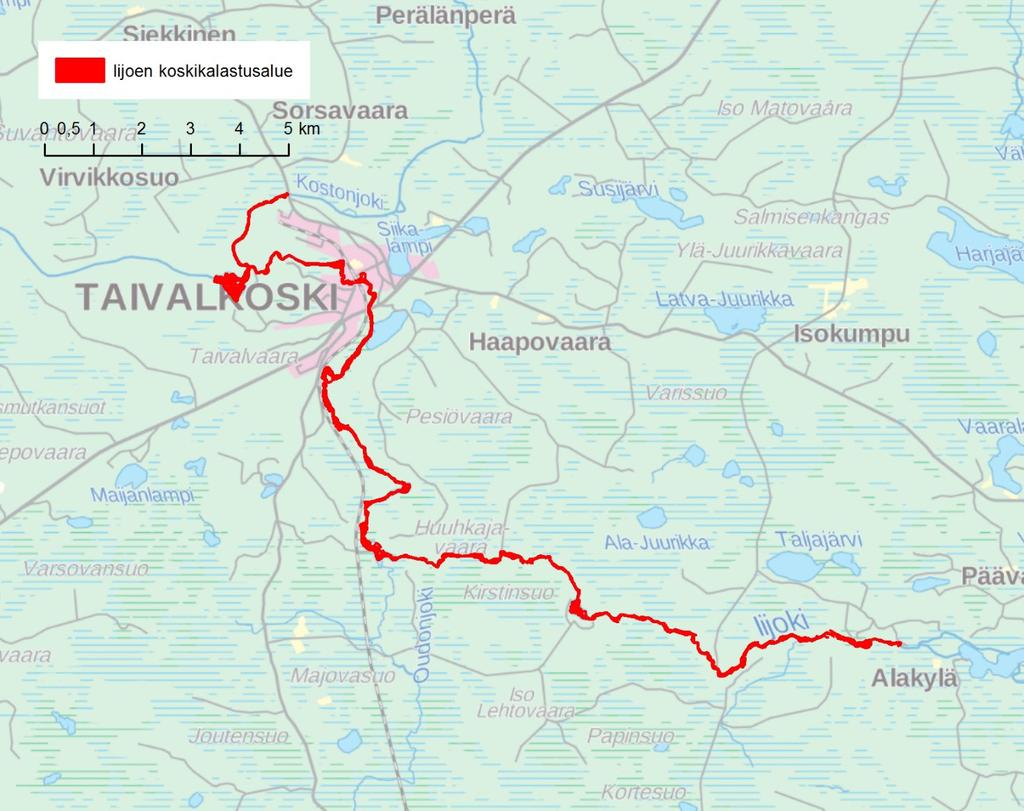 Koskikalastusalueelle tarvitaan aluekohtainen kalastuslupa. Onkiminen ja pilkkiminen on kielletty. Kalastusaika on 1.6. 31.10.
