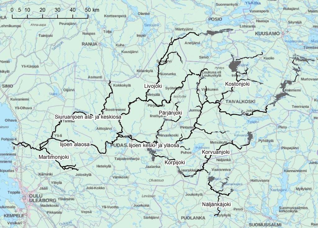 1 Johdanto Selvitys liittyy Pohjois-Pohjanmaan liiton vetämään Iijoen otva -hankkeeseen ja sen tavoitteeseen vaelluskalakantojen palauttamisesta Iijoelle.