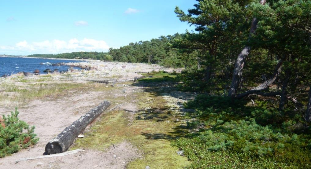 voksen sex hekter mäntsälä voksen sex hekter mäntsälä