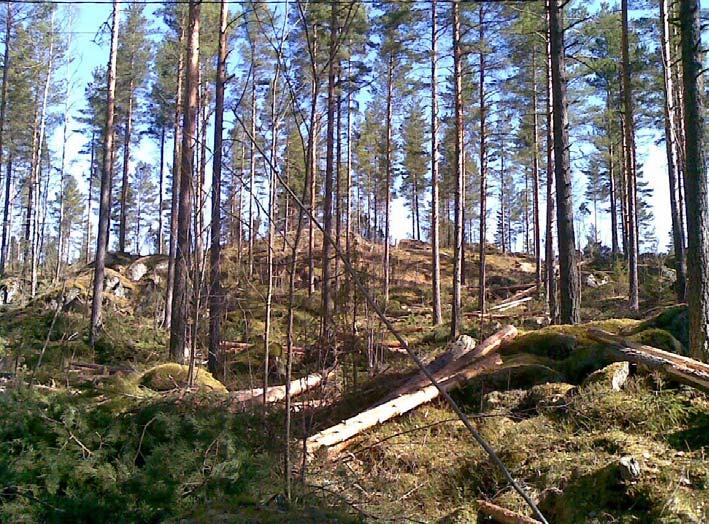Luonnonympäristö ja maisema: Alue sijaitsee niemessä ja Päijänteen rantaviivaa on noin kilometrin verran. Alue on monin paikoin kallioista ja valtapuulajina on vanha mäntymetsä.