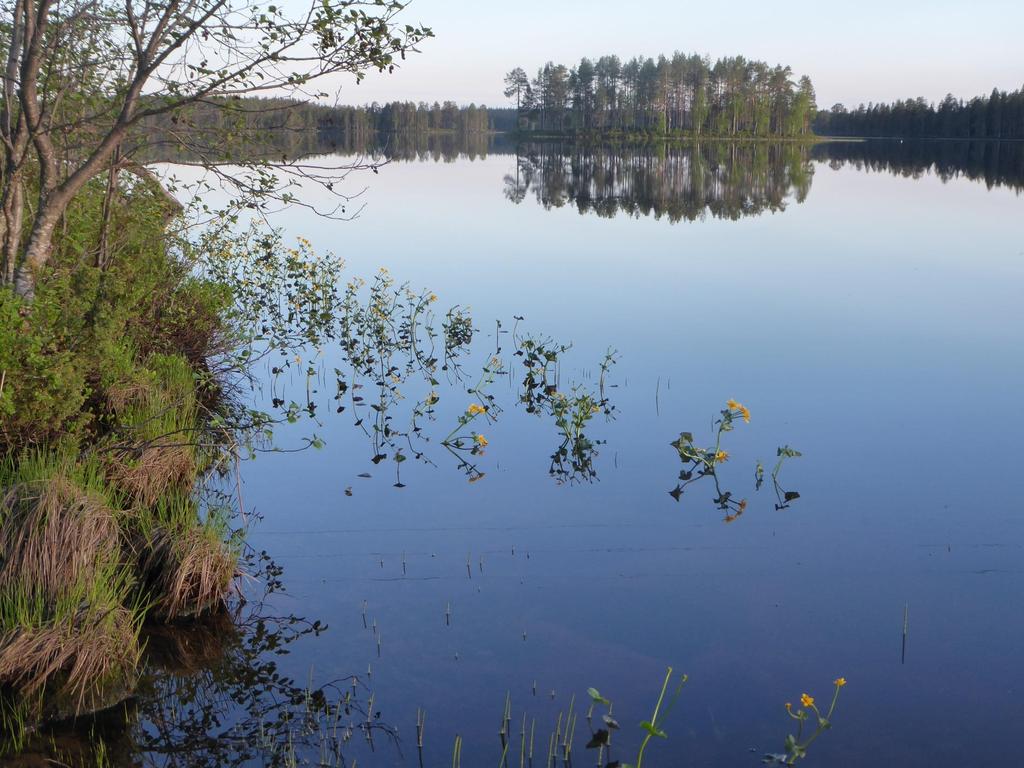 1 Ihmisen ja luonnon pitkäaikaisesta ja yhä jatkuvasta rinnakkaiselosta kertovan harju-, vaara- ja