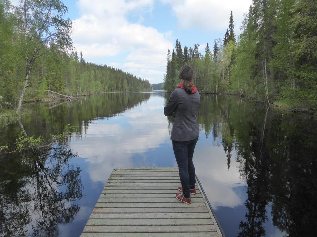 KANSALLISPUISTON TALOUDELLISET JA TYÖLLISYYSVAIKUTUKSET Metsätaloudesta luopuminen merkitsisi noin 180 000 200