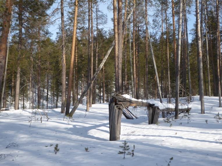 Työpaikkamenetykset olisivat 1-2 henkilötyövuotta Kansallispuiston kokonaistulovaikutukset olisivat vähintään