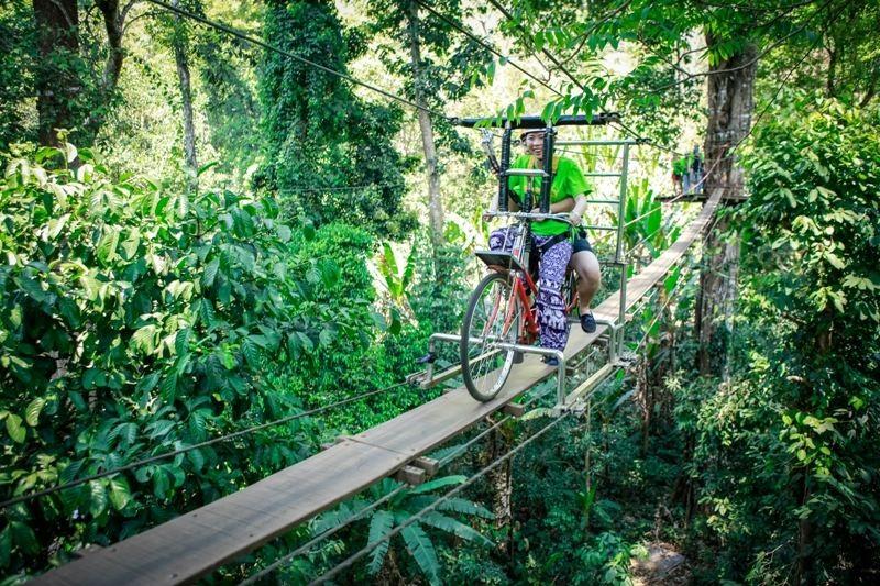 Köysirata viidakossa Korkealla Chiang Main vihreillä kukkuloilla yli 1 000 metrin korkeudessa merenpinnasta sijaitseva Flying Squirrels on jännittävä seikkailu puunlatvojen korkeudella.