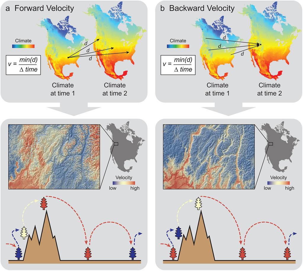 Kuva 11. Havainnekuva a) eteenpäin ja b) taaksepäin mitatusta ilmastonmuutoksen nopeudesta ( climate velocity ). Ylimmät paneelikuvat ilmaisevat muutosindeksien laskutavan.