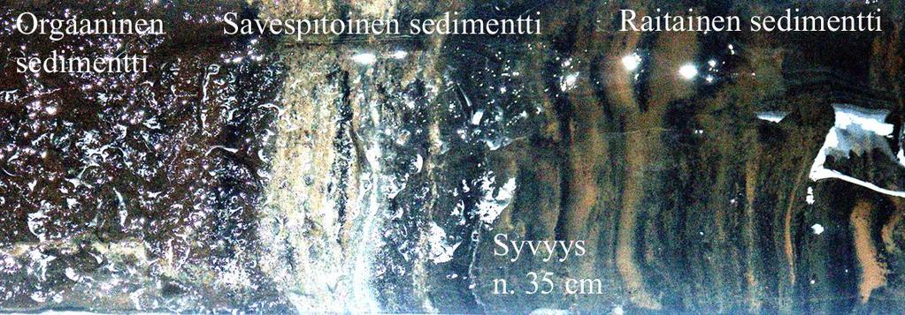 10 Kuva 4. Valokuva Palolammen järvisedimenttiprofiili pisteestä Palo1: raitainen sedimentti pinnasta syvyydelle 35 cm, savipitoinen kerros (leveys n.
