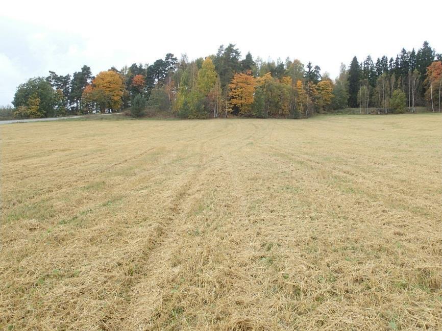 Tulos Inventointialueen pohjoispuolella sijaitsevan historiallisen ajan asuinpaikan Karnainen (Karnainen) todettiin ulottuvan hankealueelle pienellä alalla sen luoteisnurkassa.