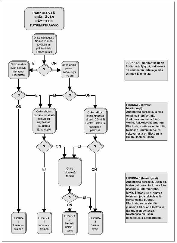 Kuva 4. Rakkolevää sisältävien koealojen luokituskaavio (Viitasalo ym. 2002).