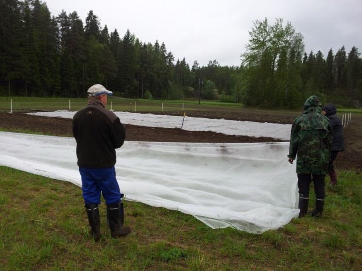 keräkaali Piikkiö välttävä 0 20 50 100 20 + 10 (startti)* keräkaali Piikkiö korkea 0 5 15 30 keräkaali Mikkeli välttävä 0 20 50 100