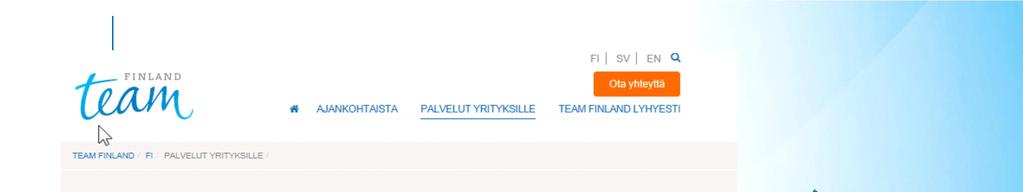 Team