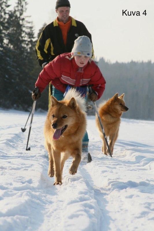 Tutkimuskuva(4( 36 Kuvio10.Tutkimuskuva4:Hiihtämässä( ( Millaisen(mielikuvan(kuva(sinussa(herättää?(( 20 18 16 14 12 10 8 6 4 2 0 19 15 14 13 11 11 10 8 7 7 6 5 4 Kuvio11.