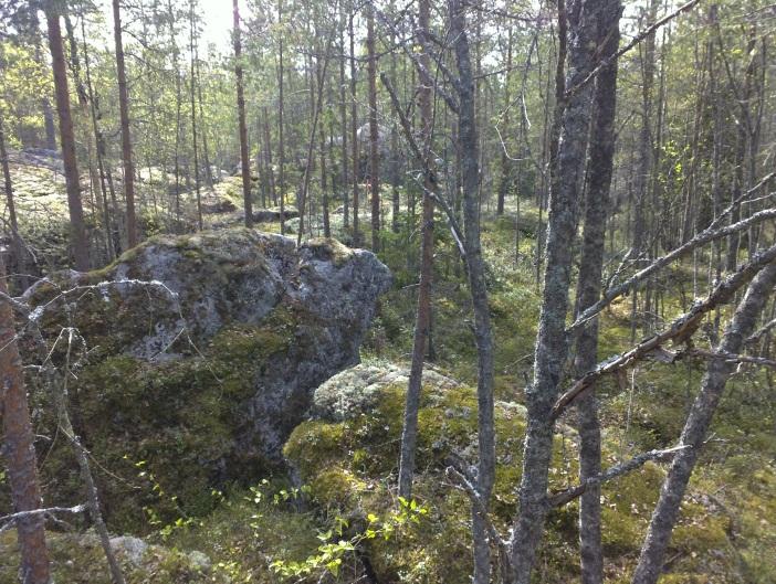 4 Tutkimusalue rajattu vihreällä. Värnamo II alueen maastoa Smedsbacka Alue sijaitsee Lapuanjoen länsipuolella olevan asutuksen länsipuolella.