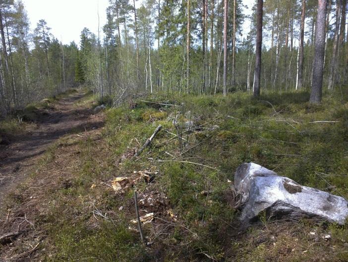 Periaatteessa alueella voisi sen korkeusaseman puolesta sijaita rautakautisia ja lounaisosassa myös varhaismetallikautisia muinaisjäännöksiä