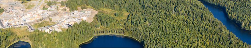 1 Luontotyypit ja kasvillisuus Selvitysalueen keskiosan kasvillisuus ja
