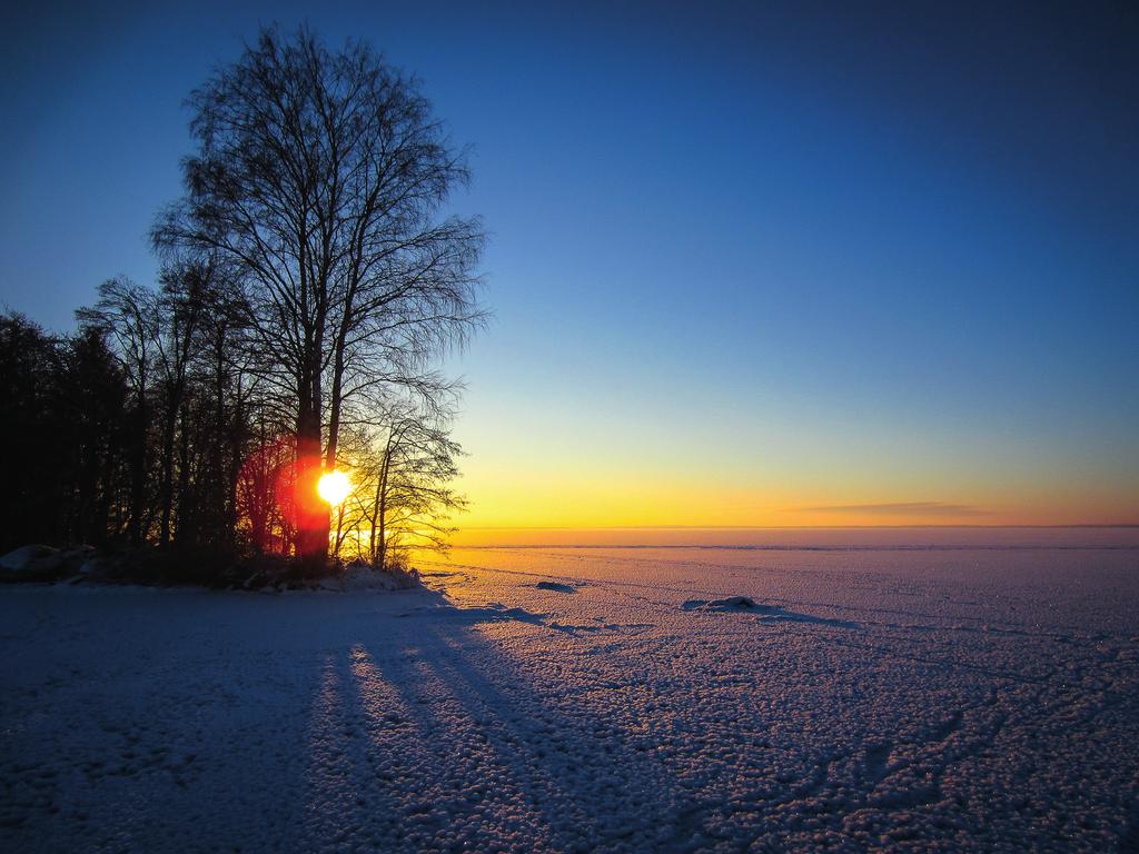 SOKERIPALA 1/2017 3/2016 Kesän 2017 tapahtumia: Syksy 2016 - Pilvilinna ja minifarmi@kukkamessut Uudessakaupungissa 21.5. - Katse jalkoihin -tapahtuma 7.9.