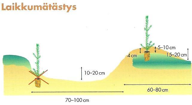 18 su kivennäismaakerros. Mätäs tiivistetään kauhalla, jottei se jää liian kuohkeaksi. (UPM Metsä 2012a.