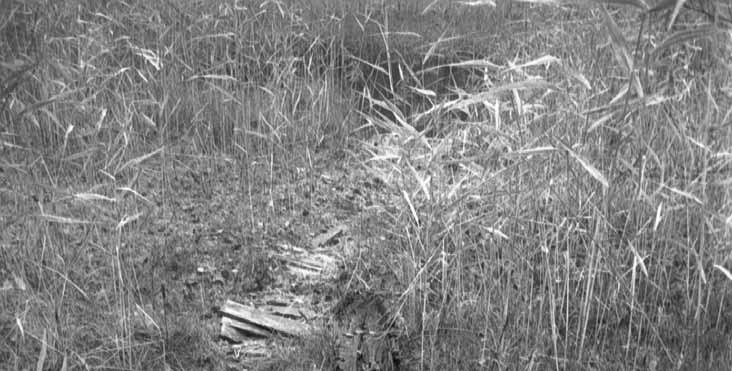 59 KUHMALAHDEN