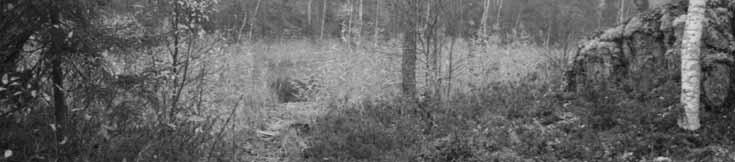 löytöpaikka.