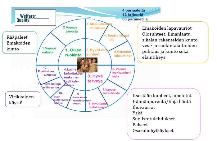 13 Kuva 7. WQ-ympyrä ja Sikavasta saatavissa olevat mittarit (laatikoissa). 3.