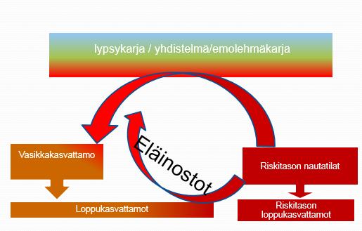 4 2. Nautaosion toteutuneet toimenpiteet Hankkeen aikana luotiin hanketyöryhmien näkemysten pohjalta nautaketjun turvallinen toimintapa, jota voidaan toteuttaa yhteisiä pelisääntöjä noudattamalla.