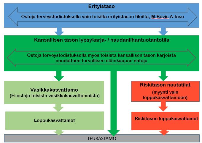 5 huomattavia menetyksiä, kun tautitartunta katkaisee tilan eläinliikenteen.