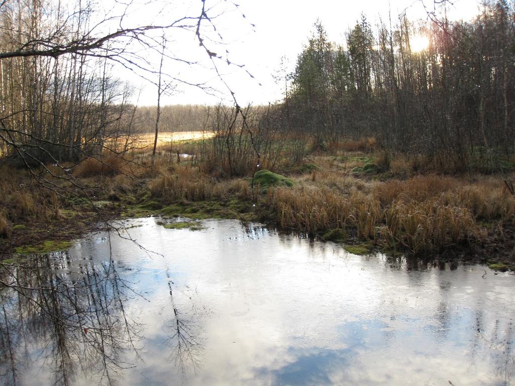 GEOLOGIAN TUTKIMUSKESKUS Pohjavesiyksikkö