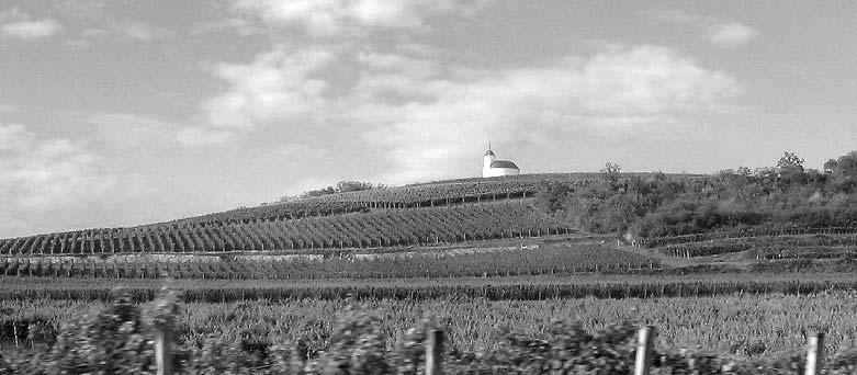 Raporte La 49-a konferenco de ILEI Deklivoj en Tokaj. Fotis Sylvia Hämäläinen La konferenco okazis 30.7. 6.8.2016 en Nyíregyháza en nordorienta Hungario. Ĝi estis la lasta konferenco de ILEI.