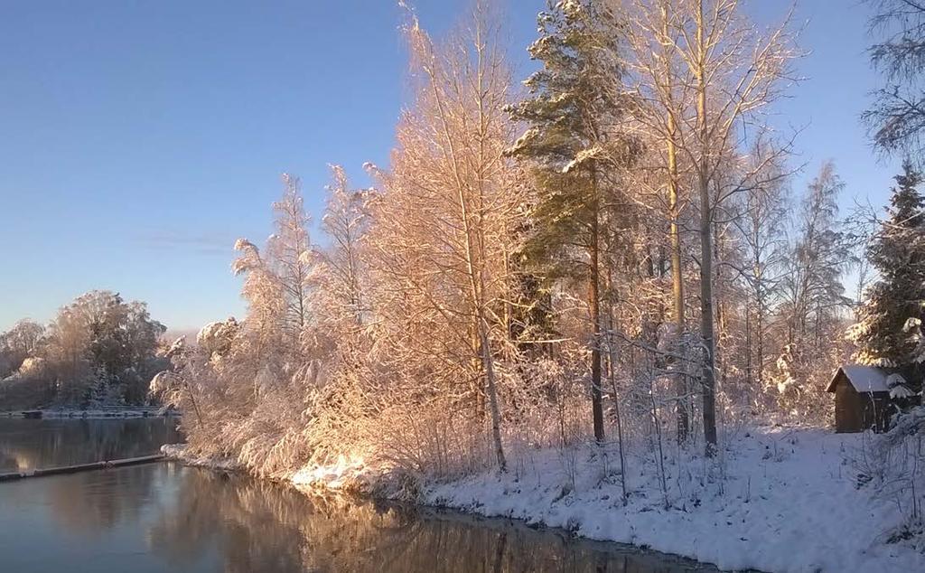 1 Selvitystyön tausta, tavoitteet ja toteutus Vuosina 2015 2017 Pirkanmaan elinkeino,- liikenne- ja ympäristökeskuksen (ELY-keskus) ja Suomen ympäristökeskuksen (SYKE) sekä Varsinais-Suomen ja Hämeen