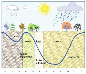 13 Kuva 1. Pohjavedenpinnan korkeus vaihtelee vuodenaikojen mukaan. Kuvassa on eteläisemmälle Suomelle tyypillinen pohjavedenpinnan vaihtelu.