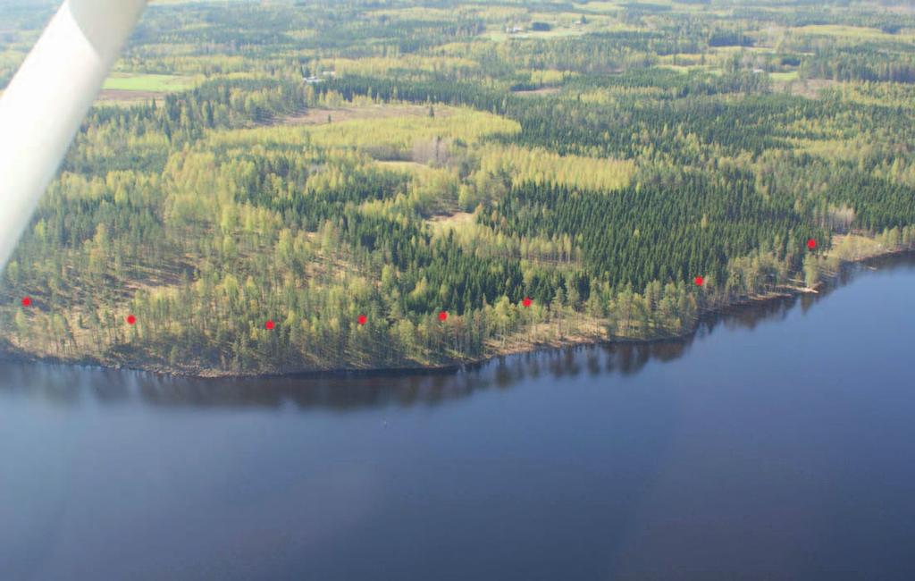 kitty kaavaan siten, että kaava edistää luonnonsuojelun toteutumista. Mikäli luonnonsuojelualueet sijoittuvat yksityisen maanomistajan alueille, maksaa valtio niistä korvauksen.