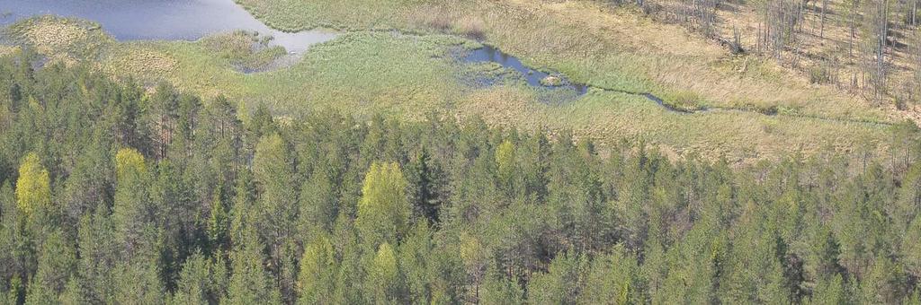 Suunnittelualueella on selvästi erityyppisiä rantoja, joiden ominaisuudet rakennettavuuden suhteen eivät ole sanlaiset.