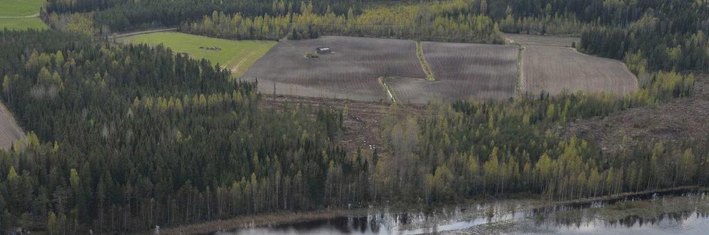 peltorannat jyrkät kalliorannat (