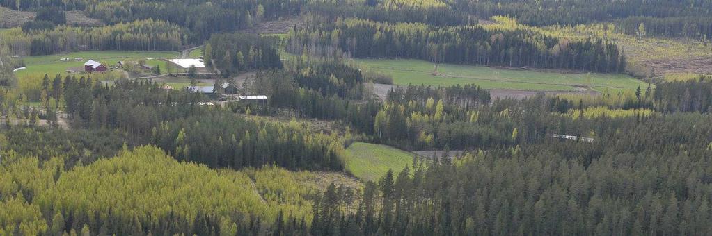 kaltevuus 5 % ) maaperä olosuhteet hyvät vesistön sietokyky hyvä