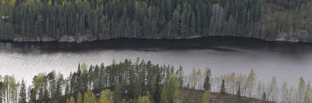 2 YLEISKAAVAN TAVOITTEELLISET ALUEET JA MITOITUSNORMIT Mitoittavat