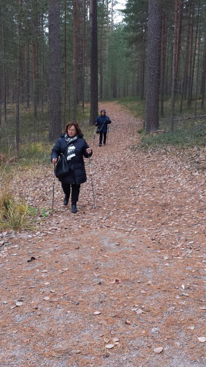 Sauvakävelyä Saimaan rannoilla. Päivi yllätti ryhmän tarjoamalla mahdollisuuden osallistua iltapäivällä suomalaiseen viihdeshowhun, joka oli hyvin ammattimaisesti toteutettu.