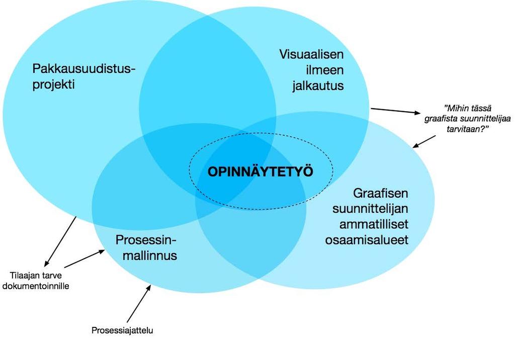 9 Kuva 3. Opinnäytetyön viitekehys.