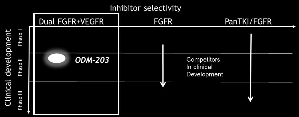 FGFR/Angiogenesis 1:2 1:100 ODM-203:lla hyvin korkea kinaasiselektiivisyys FGFR1-4 ja VEGFR1-3 -tekijöissä Tasapainoinen inhibitio saattaa tuottaa paremman